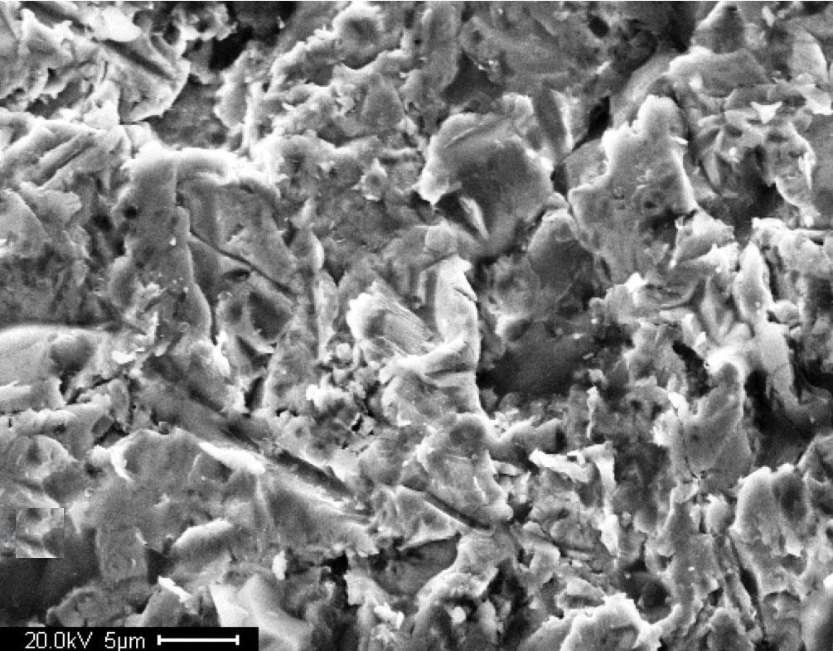 Scanning electron micrograph of a steel surface, 5 micrometre scale bar
